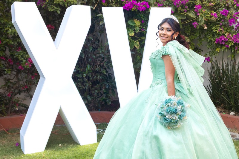 Mis XV Gene-100 (1)